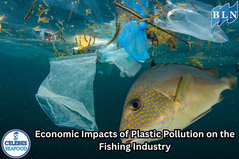 Economic Impacts of Plastic Pollution on the Fishing Industry